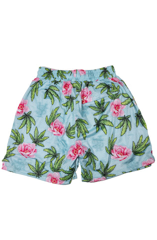 Stay Winning Hippie Hoop Shorts (Mint)