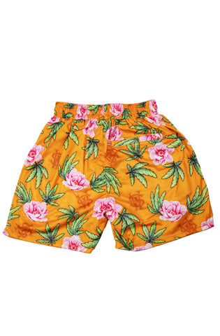 Stay Winning Hippie Hoop Shorts (Orange)